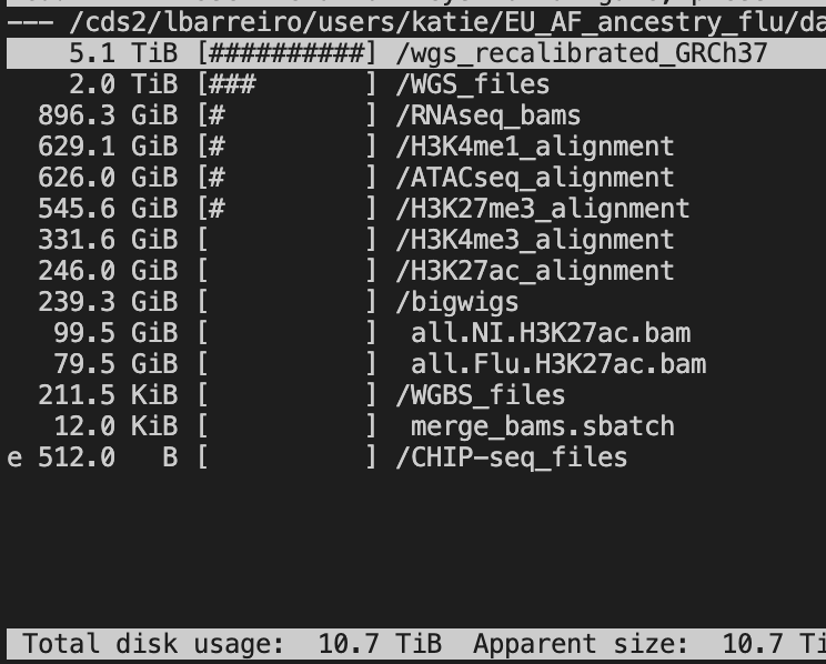 Data Size